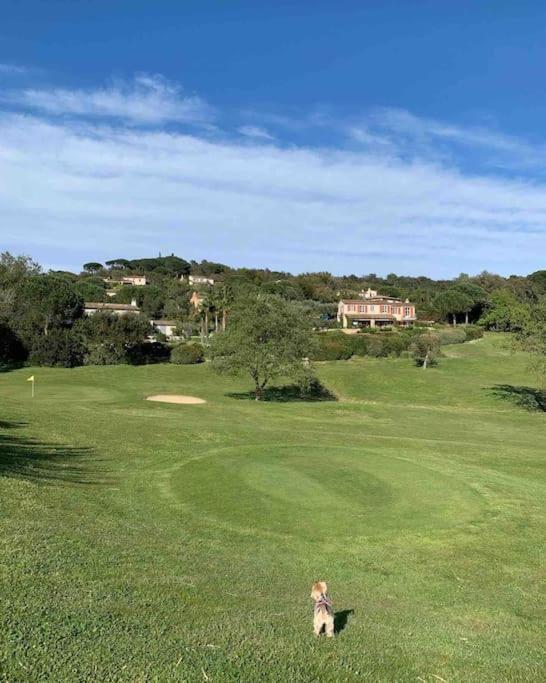 Maison Classee Sur Le Golfe De St Tropez แซ็ง-ทรอเป ภายนอก รูปภาพ